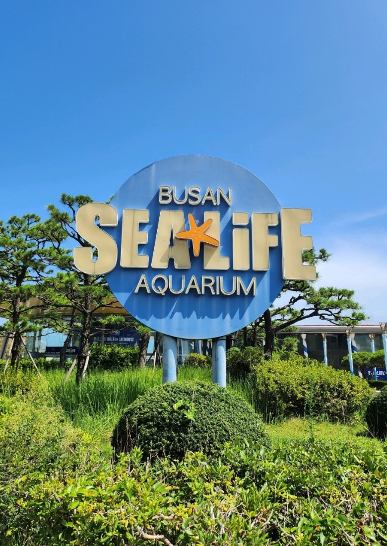 SEA LIFE釜山水族館.jpg