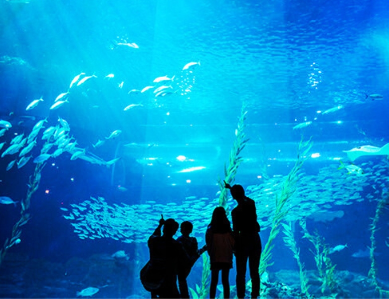 Aqua Planet Jeju(济州水族馆).jpg