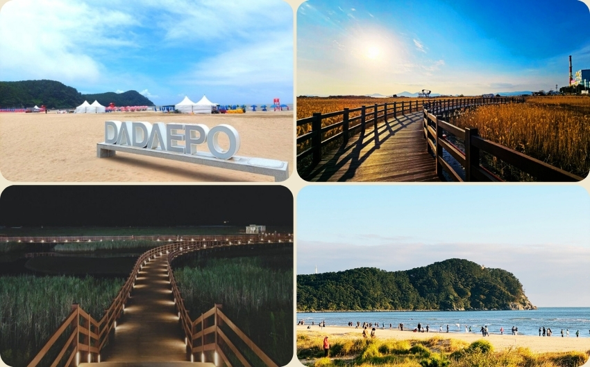 Daepo Beach.jpg