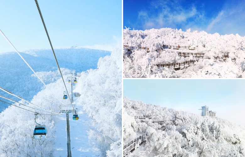 江原道發王山觀光纜車.jpg