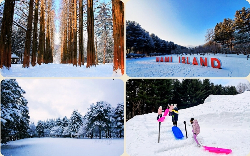 Nami Island (2).jpg