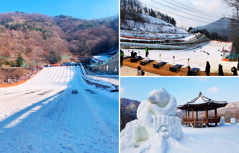 韓國楊州雪花節.jpg