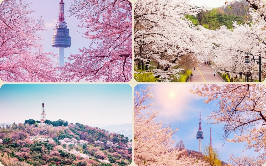 Namsan Seoul Tower (2).jpg