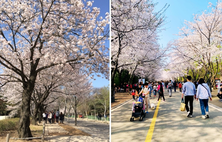 仁川大公園春天.jpg