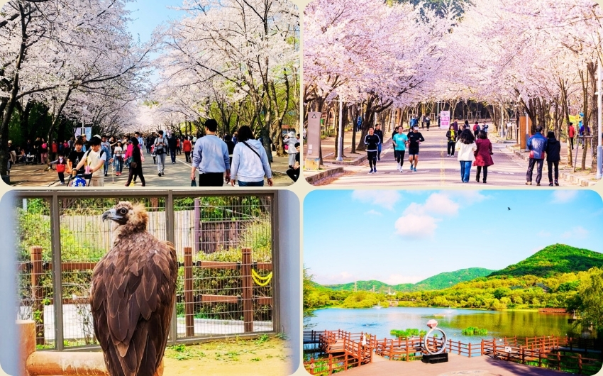 Incheon Grand Park.jpg