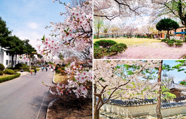 北村韓屋村&三清洞 (2).jpg