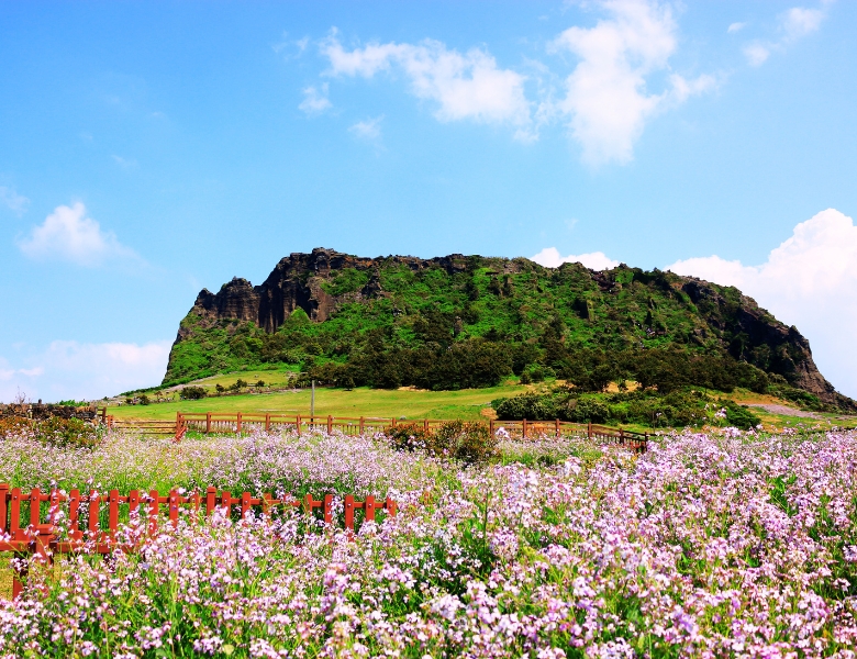 城山日出峰 (10).jpg